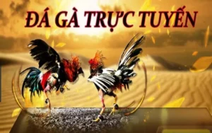 Hướng Dẫn Chơi Đá Gà 3D Tại FB88: Trải Nghiệm Giải Trí Đỉnh Cao