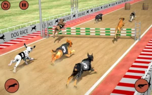 Hướng Dẫn Cách Chơi Game Nhanh Đua Chó Tại FB88 Cực Hấp Dẫn